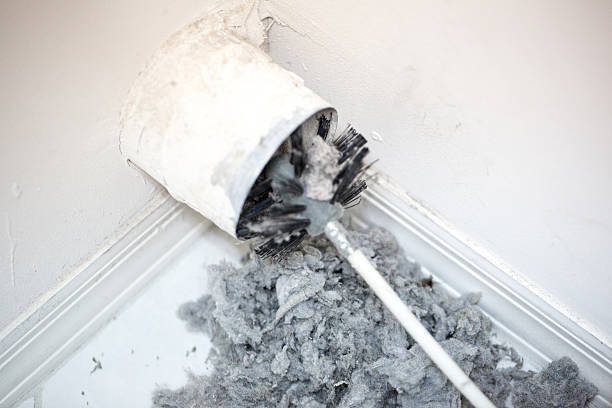 Best Affordable Duct Cleaning Services  in USA